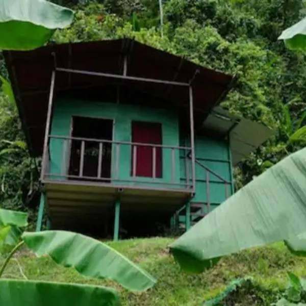 Rioverde Jungle Ecolodge, hotel v destinaci Puerto Jiménez