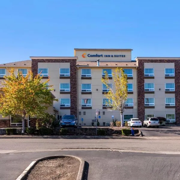Comfort Inn & Suites Salem Northeast, Hotel in Salem