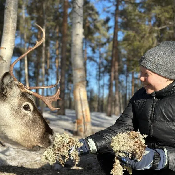 Skabram Camping & Stugby, Hotel in Jokkmokk