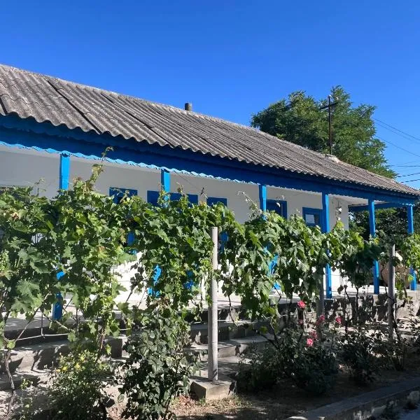 Casa Albastra, hotel i Mahmudia