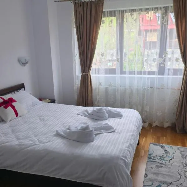 Pensiunea Rozalina, hotel em Rozavlea