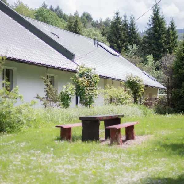 Noclegi BdPN Terebowiec w Ustrzykach Górnych, hotel en Ustrzyki Górne