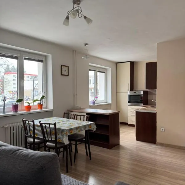 Apartment SNP Dolny Kubin, hotel in Dolný Kubín