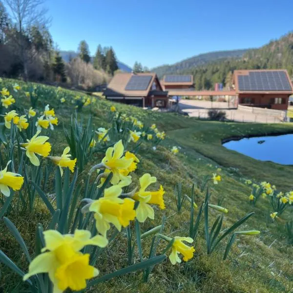 Auberge du Saut des Cuves, Hotel in Xonrupt-Longemer