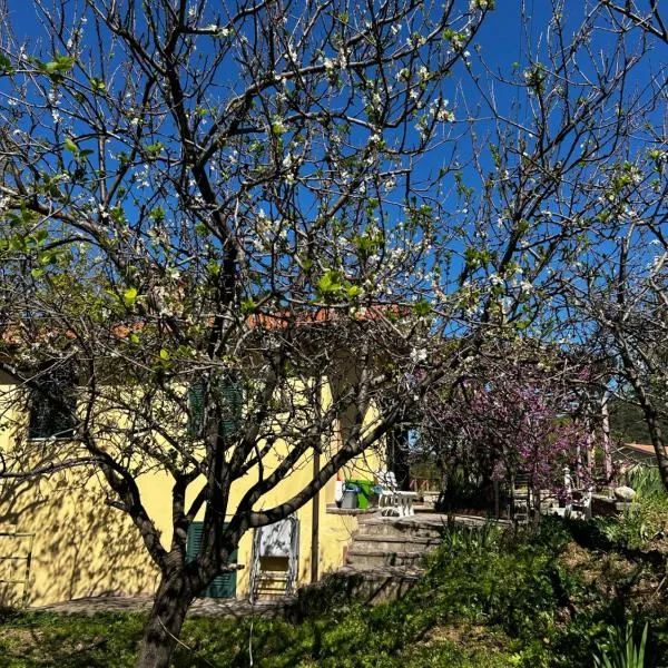 Da Davide, hotel i Marciana Marina