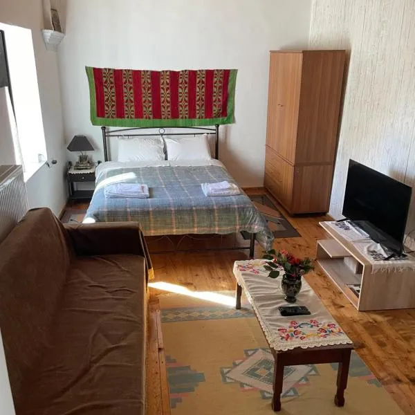Ενοικιαζόμενη Κατοικία Γρηγόρης, מלון בMagoúliana