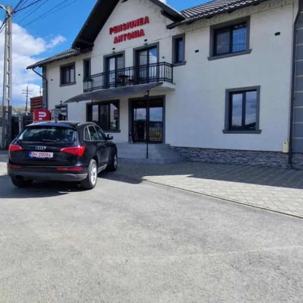 PENSIUNEA ANTONIA, hotel in Sighetu Marmaţiei