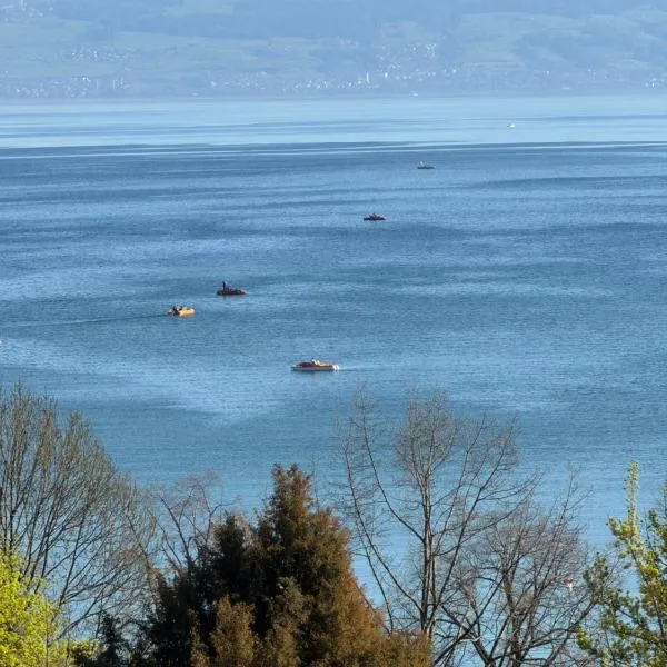 Penthouse Seeblick Wohnung 86 qm KLIMATISIERT, Hotel in Friedrichshafen
