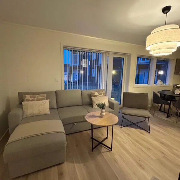 GHAR-New 2 bedrooms apartment near airport and Oslo city-free parking, отель в городе Klofta