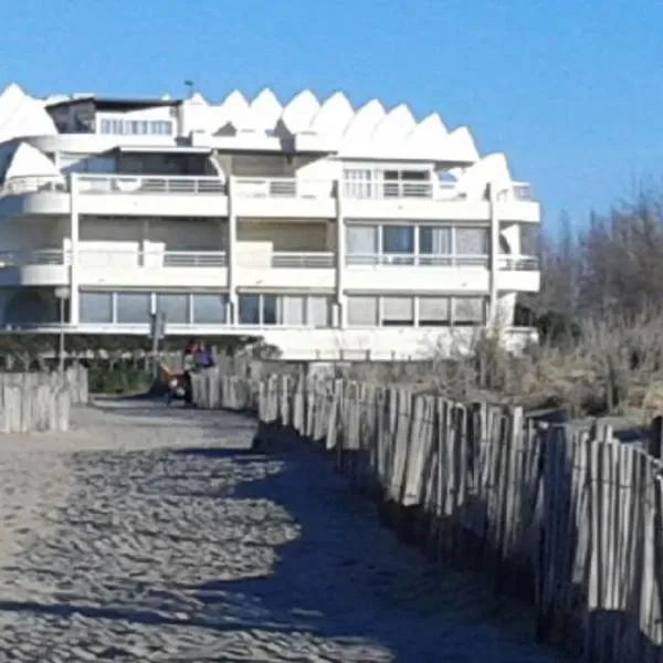 Studio cabine, Hotel in Le Grau-du-Roi