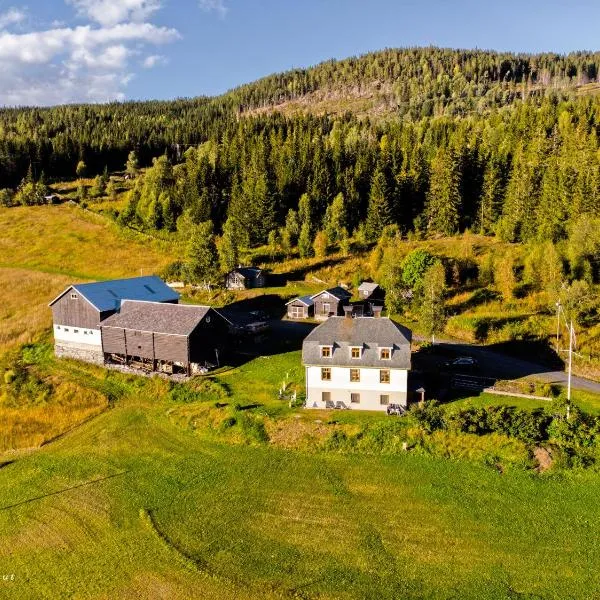 Opslidre Apartment, hotel sa Slidre