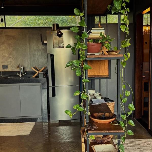 A nossa casa da arvore - Foto 3