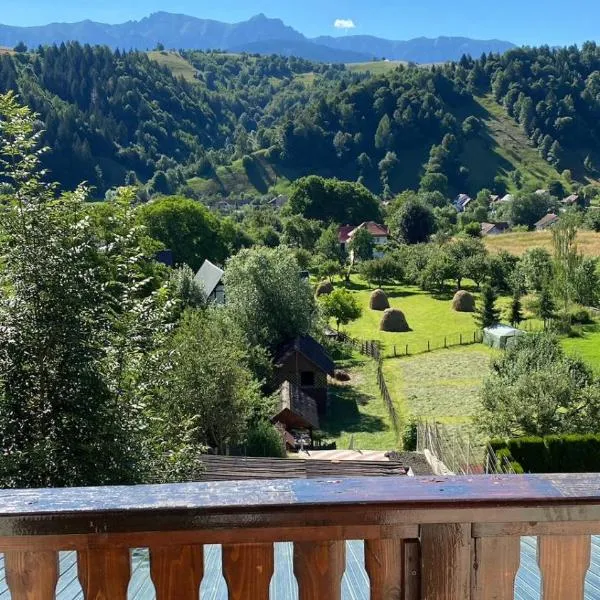 Pensiunea Brian, hôtel à Moieciu de Jos