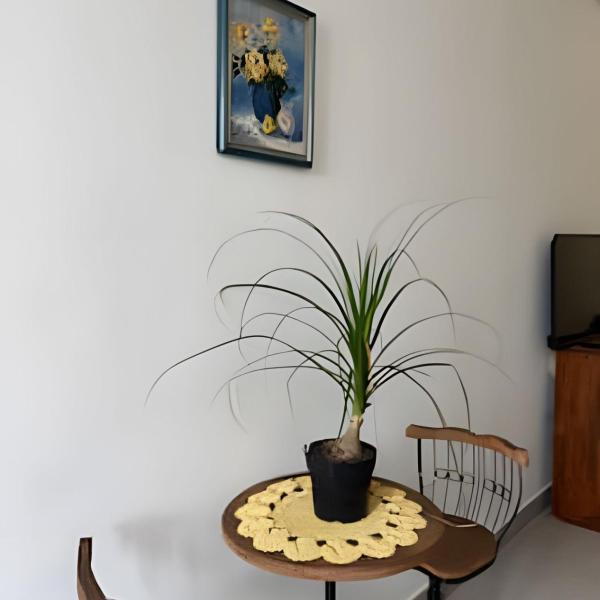 Sensacional Studio Cinelândia 1310 - Foto 5