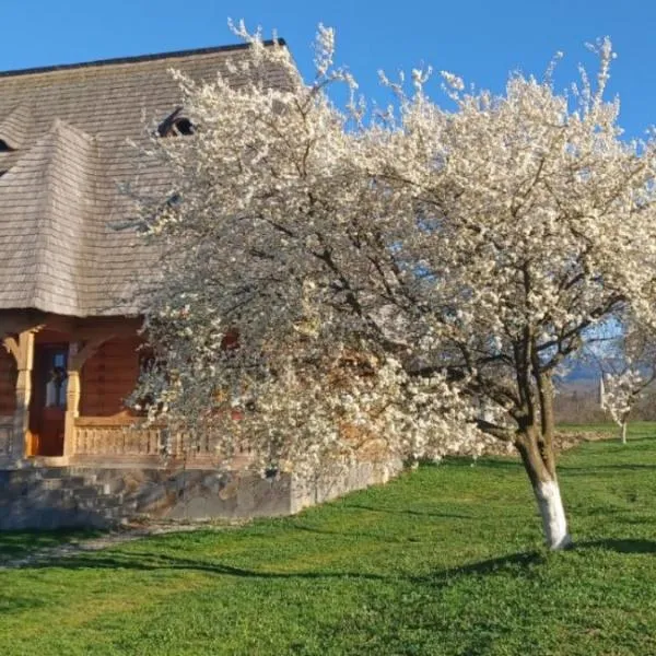 Pensiunea Agroturistica Casa Pribegilor, hotel en Breb