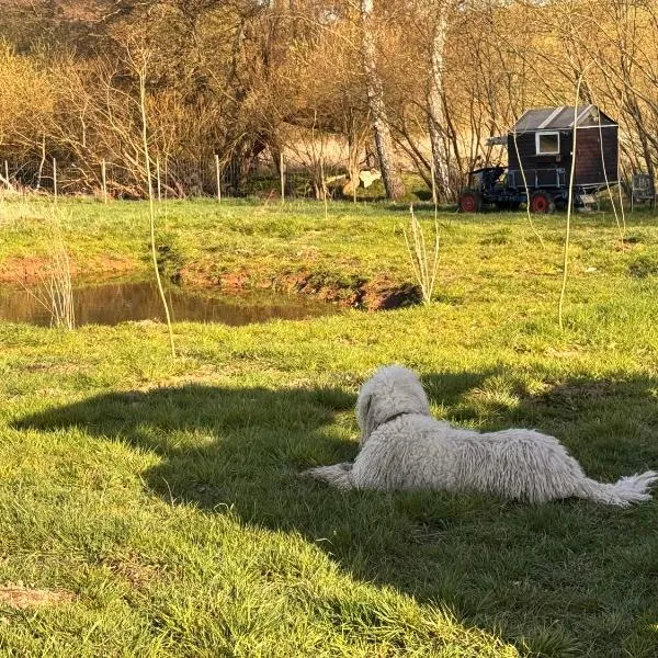 Kuschliger Schäferwagen auf Wiese autark, hotel i Hausbreitenbach