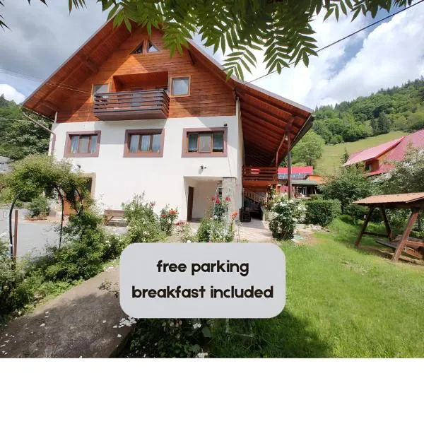 Pensiunea Piatra Mandrutului, hotel en Scărişoara