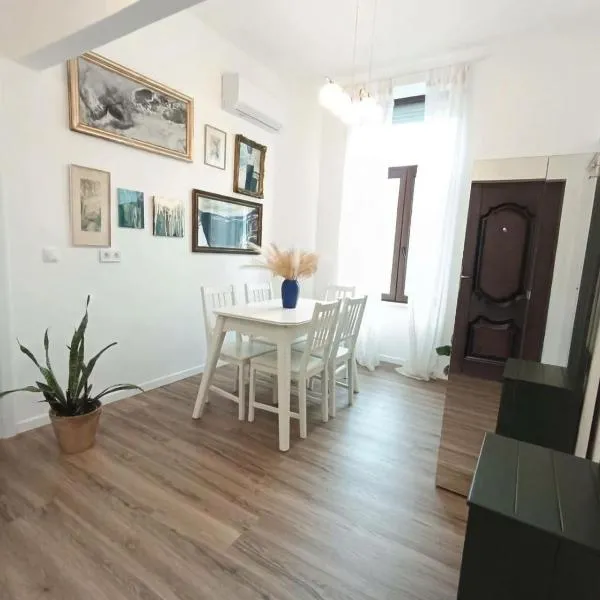 Zion Central Apartment, hotel v destinaci Satu Mare