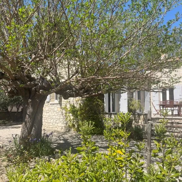L'appart Thé - Charme apaisant au coeur des Alpilles, Hotel in Paradou