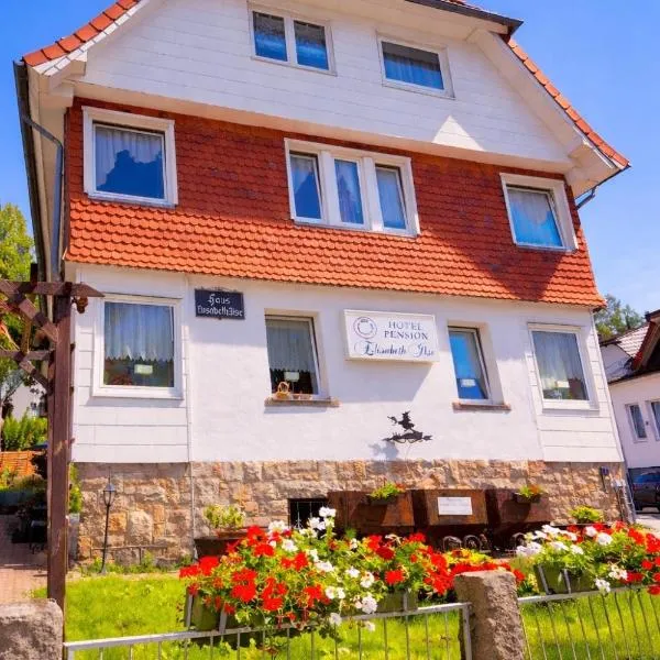 Hotel Elisabeth Ilse, hotel u gradu Braunlage