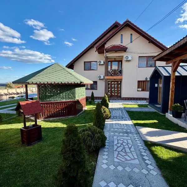 Pensiunea Adrian, hotel di Novaci-Straini