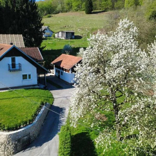 Apartma Laganini, Hotel in Bosiljevo
