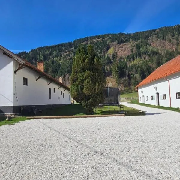 Ferien- und Pferdegut Schloss Treffen: Treffen şehrinde bir otel