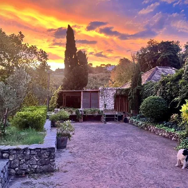 Penny Royal Guest Cottages, hotel in Somerset West