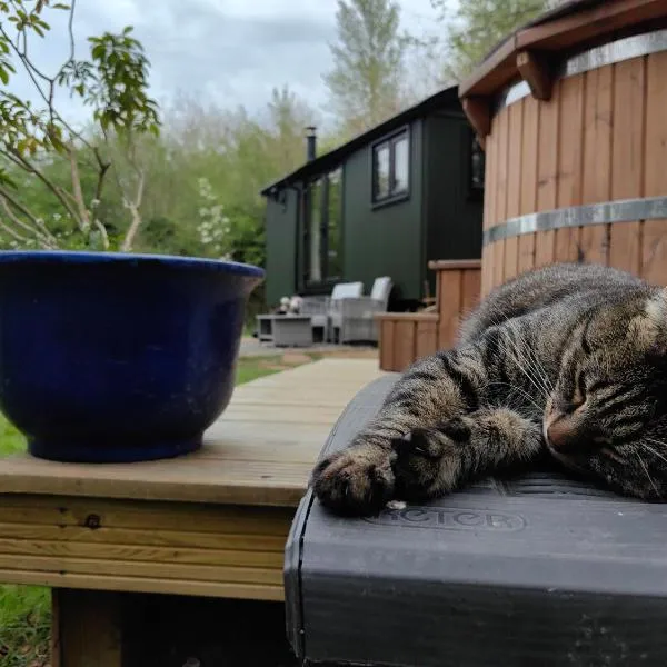 Bell Nook- Shepherd's hut with a spacious wood-fired hot tub, hotel din Tonbridge
