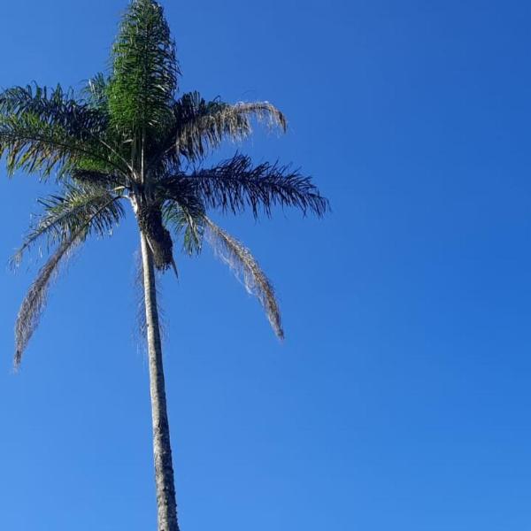 Sítio em Mogi das Cruzes