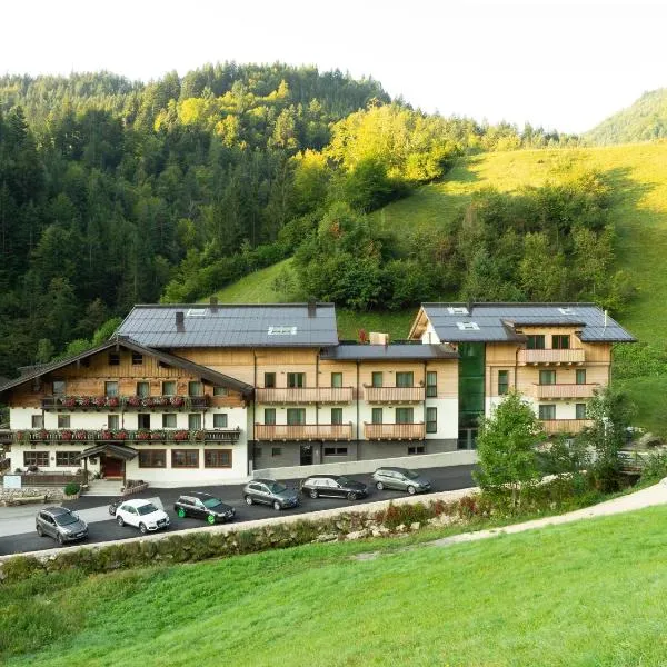 Friedlwirt-Kraftplatz Natur, Hotel in Unken