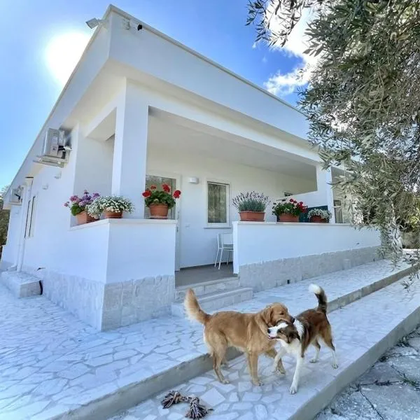 Residenza Villa Terry, hotelli kohteessa Vieste