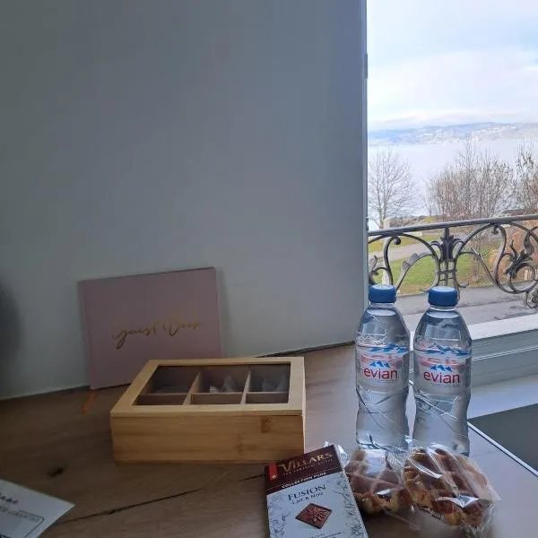 La Parenthèse Lémantine - Studio 3, hotell i Neuvecelle