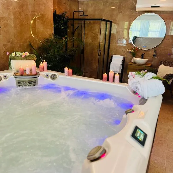 Plaza Hotel Gyula, hotel a Gyula