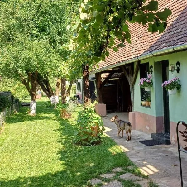 Valchid Guest House โรงแรมในValchid