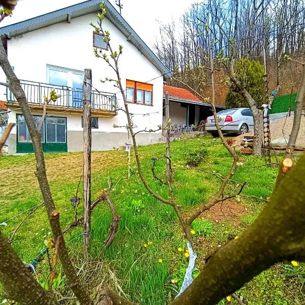 Kuca Denic, hotel din Svrljig