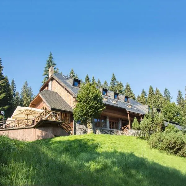 Horský hotel Vidly, Hotel in Karlova Studánka