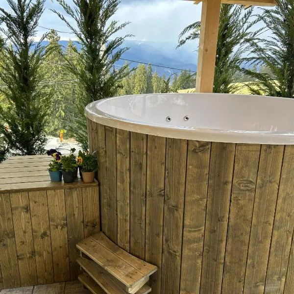 Virajlux, хотел в Дъмбовичоара