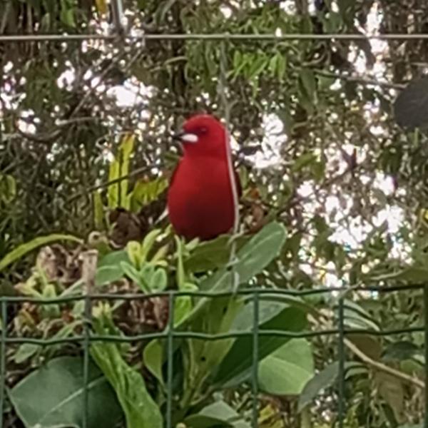 Ubatuba Copamar - Foto 4