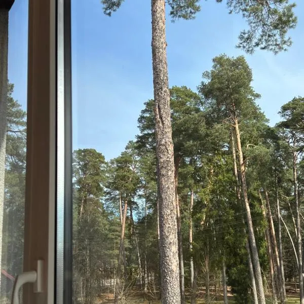 Kulautuva Park Apartments, hotel Kulautuva városában