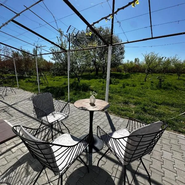 Ajasma Rooms, Hotel in Shkodra