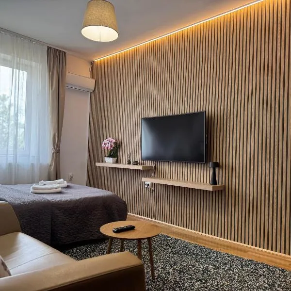 Bucharest Airport Stay & Fly, hotel a Otopeni