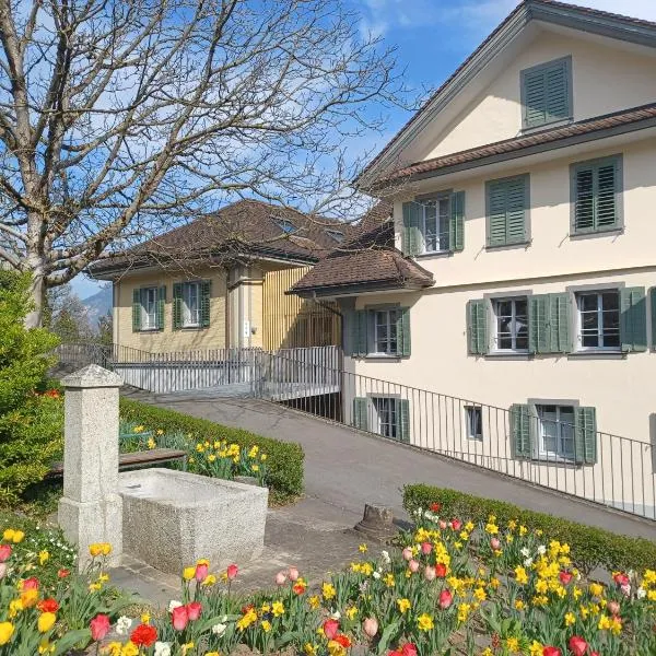 Peterhof Sarnen, hotel u gradu Sarnen