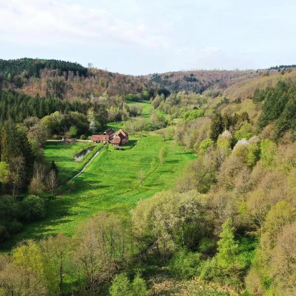 Maison d'hôtes La Paulusmühle Ancien moulin en pleine nature, hotel di Soucht