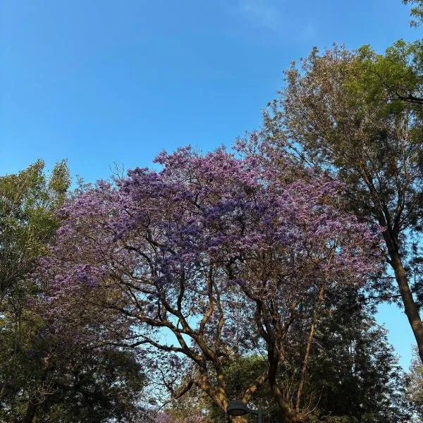 Fiesta Americana Reforma, Hotel in Mexiko-Stadt