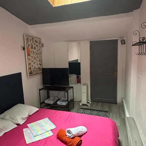 Venise chambre accès privé, hotel in Castres