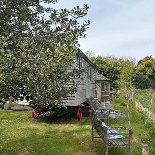Meadow views Shepherd Hut at Goodwood!, hotel in Westhampnett