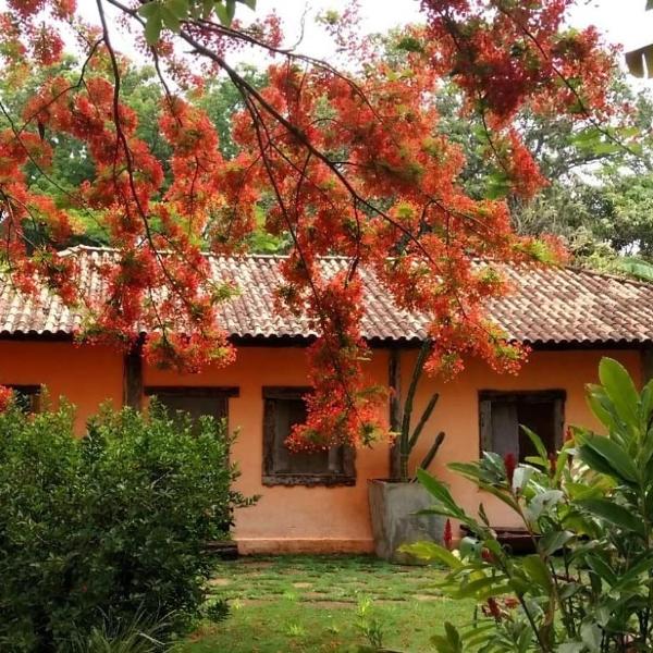 Paralelo Retiro do Campo - TERRA FRANCA - Foto 4