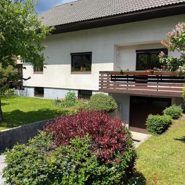 Mountain View Mojstrana, hotel i Mojstrana