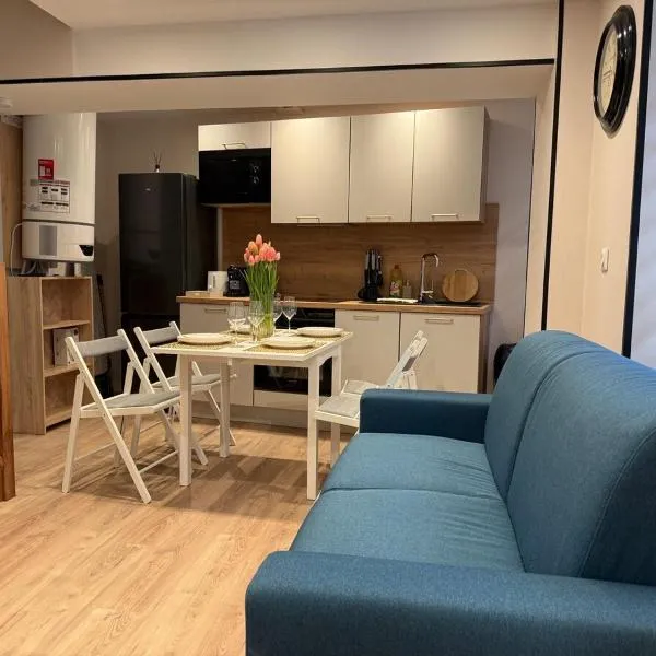 Charmant duplex rénové au pied du château、アンボワーズのホテル